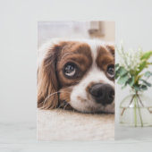 Sad-Eyed Cocker Spaniel Dog Briefpapier (Staand voorkant)