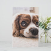 Sad-Eyed Cocker Spaniel Dog Briefpapier (Staand voorkant)