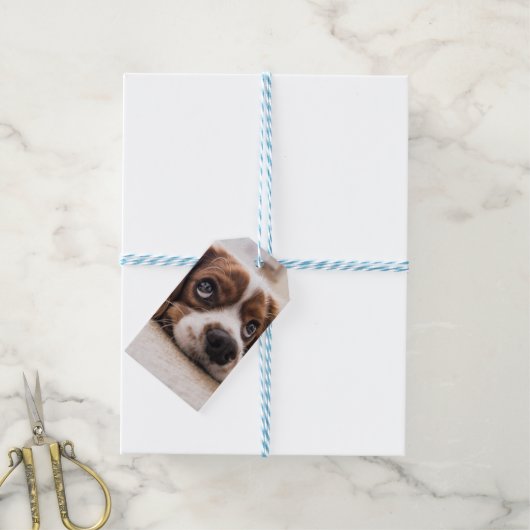 Sad-Eyed Cocker Spaniel Dog Cadeaulabel (Met Touw)