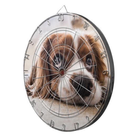 Sad-Eyed Cocker Spaniel Dog Dartbord (Voorkant Rechts)