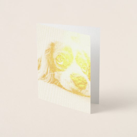 Sad-Eyed Cocker Spaniel Dog Folie Kaarten (Voorkant)