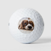 Sad-Eyed Cocker Spaniel Dog Golfballen (Voorkant)