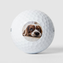 Sad-Eyed Cocker Spaniel Dog Golfballen