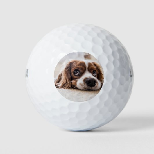 Sad-Eyed Cocker Spaniel Dog Golfballen (Voorkant)