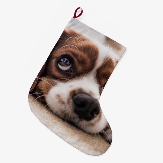 Sad-Eyed Cocker Spaniel Dog Grote Kerstsok (Voorkant (Hangend))