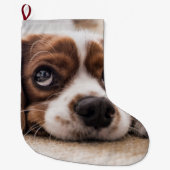 Sad-Eyed Cocker Spaniel Dog Grote Kerstsok (Voorkant)