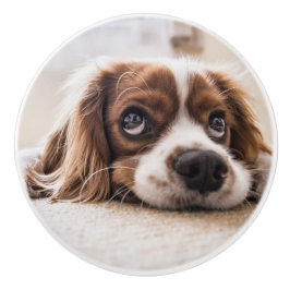 Sad-Eyed Cocker Spaniel Dog Keramische Knop
