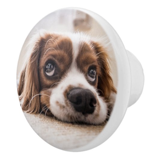 Sad-Eyed Cocker Spaniel Dog Keramische Knop (Rechts)