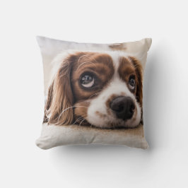 Sad-Eyed Cocker Spaniel Dog Kussen
