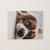 Sad-Eyed Cocker Spaniel Dog Legpuzzel (Horizontaal)