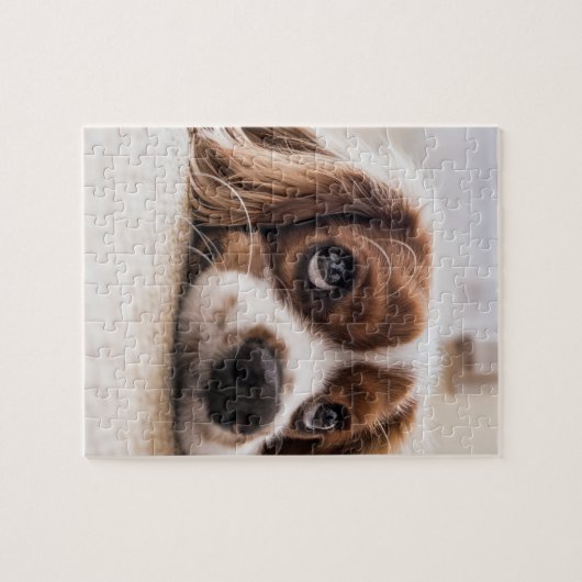 Sad-Eyed Cocker Spaniel Dog Legpuzzel (Horizontaal)
