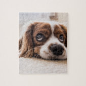 Sad-Eyed Cocker Spaniel Dog Legpuzzel (Verticaal)