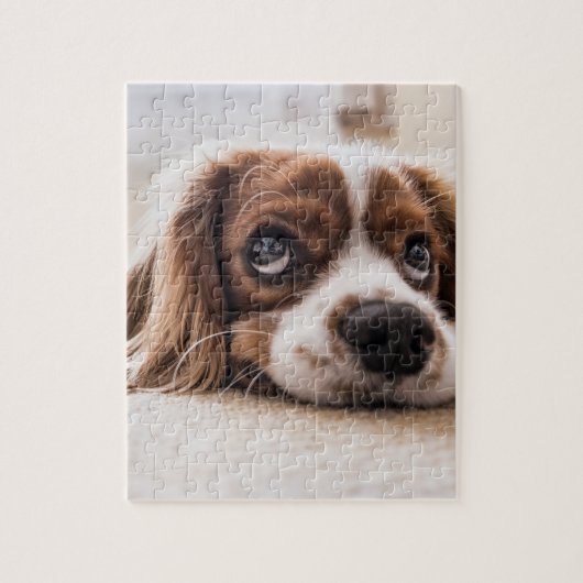 Sad-Eyed Cocker Spaniel Dog Legpuzzel (Verticaal)