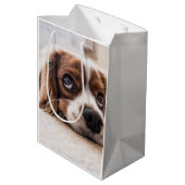 Sad-Eyed Cocker Spaniel Dog Medium Cadeauzakje (Achterkant Gekanteld)