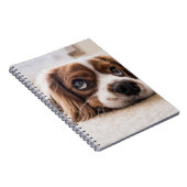 Sad-Eyed Cocker Spaniel Dog Notitieboek (Rechterzijde)