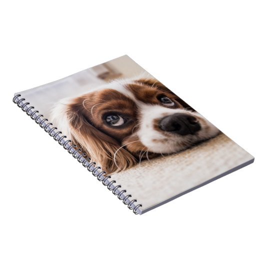 Sad-Eyed Cocker Spaniel Dog Notitieboek (Rechterzijde)