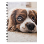 Sad-Eyed Cocker Spaniel Dog Notitieboek (Voorkant)