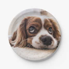 Sad-Eyed Cocker Spaniel Dog Papieren Bordje