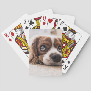 Sad-Eyed Cocker Spaniel Dog Pokerkaarten