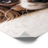Sad-Eyed Cocker Spaniel Dog Poster (Hoek)
