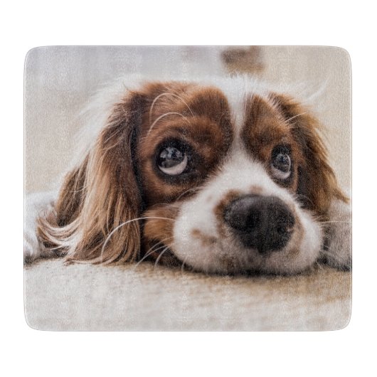 Sad-Eyed Cocker Spaniel Dog Snijplank (Voorkant)