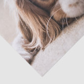 Sad-Eyed Cocker Spaniel Dog Tissuepapier (Detail)