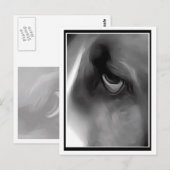 Sad Eyed Hound Briefkaart (Voorkant / Achterkant)