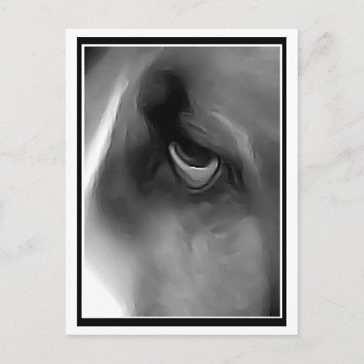Sad Eyed Hound Briefkaart (Voorkant)