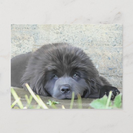 Sad Eyes Briefkaart (Voorkant)