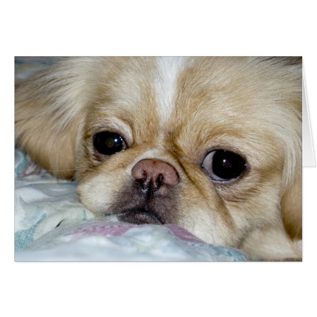 Sad Face (Voorkant Horizontaal)