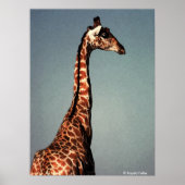 Sad Giraffe - Digitale Waterverf afdrukken Poster (Voorkant)