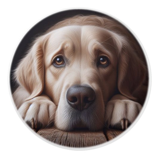 Sad Golden Labrador Retriever Hond Huisdier Keramische Knop (Voorkant)