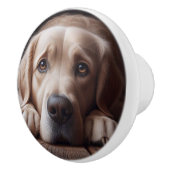 Sad Golden Labrador Retriever Hond Huisdier Keramische Knop (Rechts)
