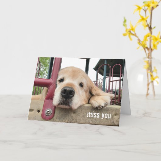 Sad Golden Retriever Dog Miss You Kaart (Gele Bloem)