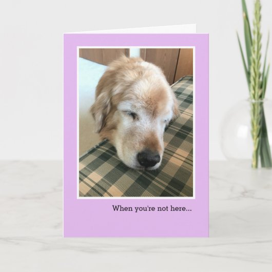 Sad Golden Retriever met hoofd Miss You Kaart (Voorkant)