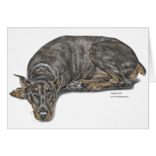 Sad Guilty look Doberman