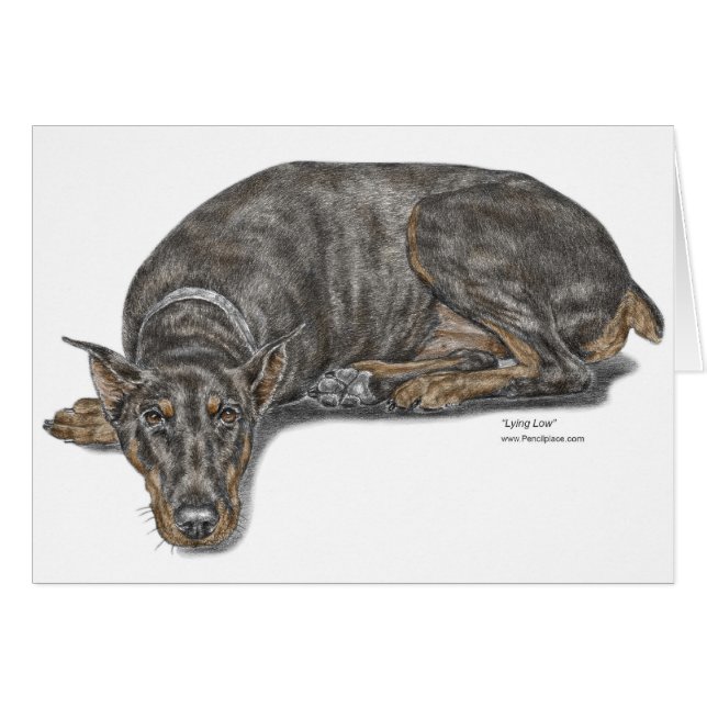 Sad Guilty look Doberman (Voorkant Horizontaal)