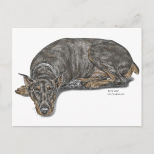 Sad Guilty look Doberman Briefkaart