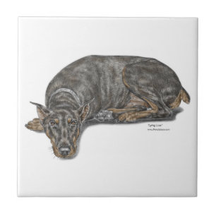 Sad Guilty look Doberman Tegeltje