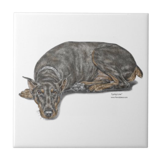 Sad Guilty look Doberman Tegeltje (Voorkant)