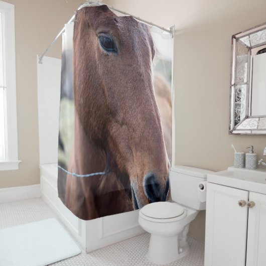 SAD HORSE DOUCHEGORDIJN (In situ)