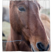 SAD HORSE DOUCHEGORDIJN (Voorkant)