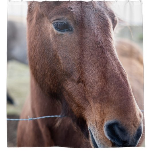 SAD HORSE DOUCHEGORDIJN (Voorkant)