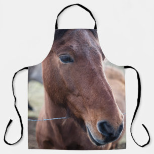 SAD HORSE SCHORT