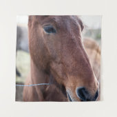 SAD HORSE WANDKLEED (Voorkant)