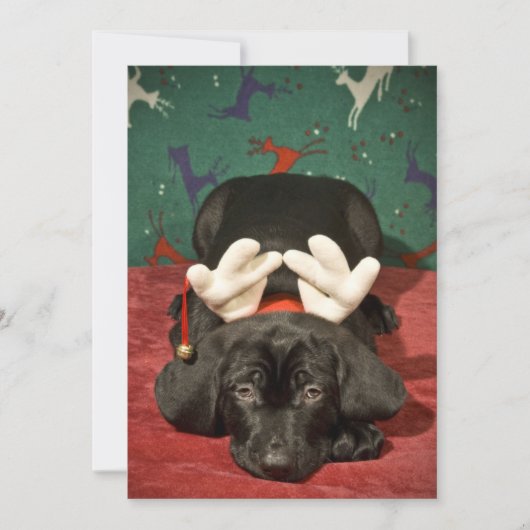 Sad-kerstpup Feestdagenkaart (Voorkant)