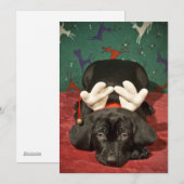 Sad-kerstpup Feestdagenkaart (Voorkant / Achterkant)