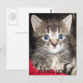 Sad Kitten - Ik mis je Briefkaart (Voorkant / Achterkant)