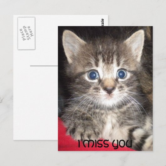 Sad Kitten - Ik mis je Briefkaart (Voorkant / Achterkant)