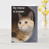 SAD KITTEN ZEGT *HAPPY BIRTHDAY* MAAR NIET IN PERS KAART (Gele Bloem)